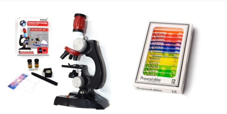 Little Scientist Microscope Kit: STEM Exploration