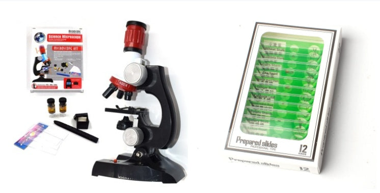 Little Scientist Microscope Kit: STEM Exploration