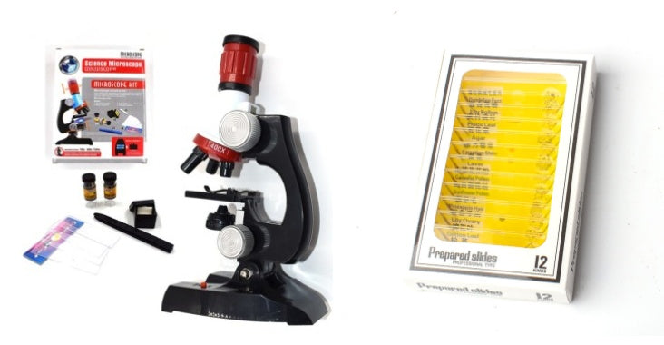 Little Scientist Microscope Kit: STEM Exploration