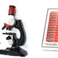 Little Scientist Microscope Kit: STEM Exploration