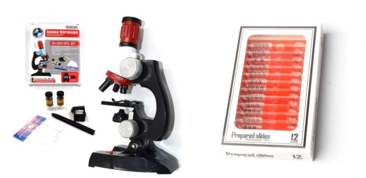 Little Scientist Microscope Kit: STEM Exploration